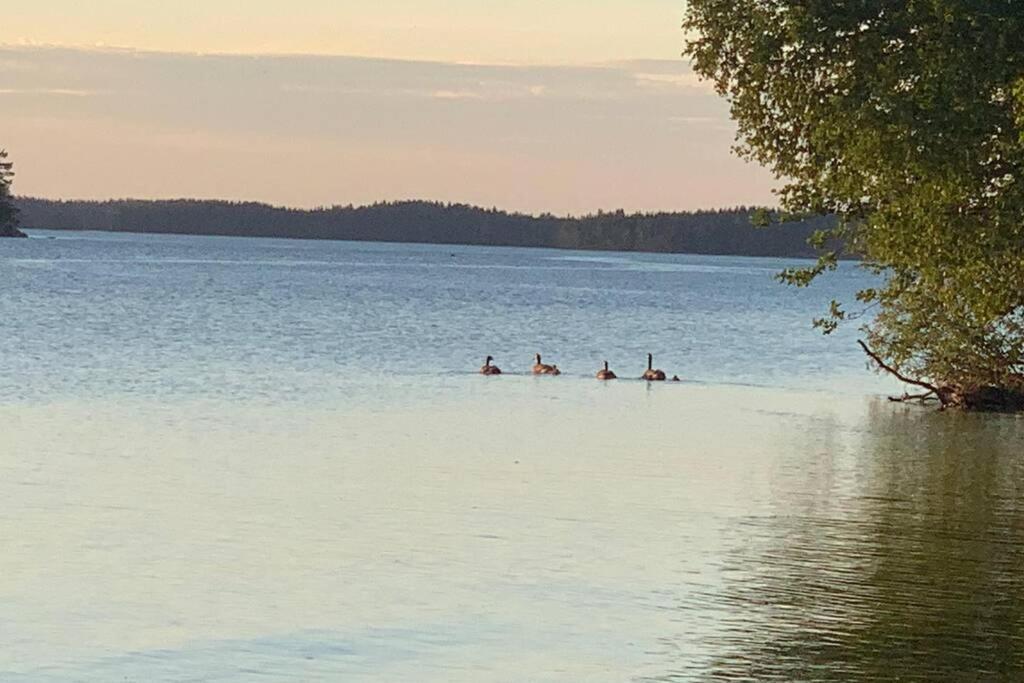 Elegant Villa On The Shore Of Lake Saimaa Lappeenranta Bagian luar foto